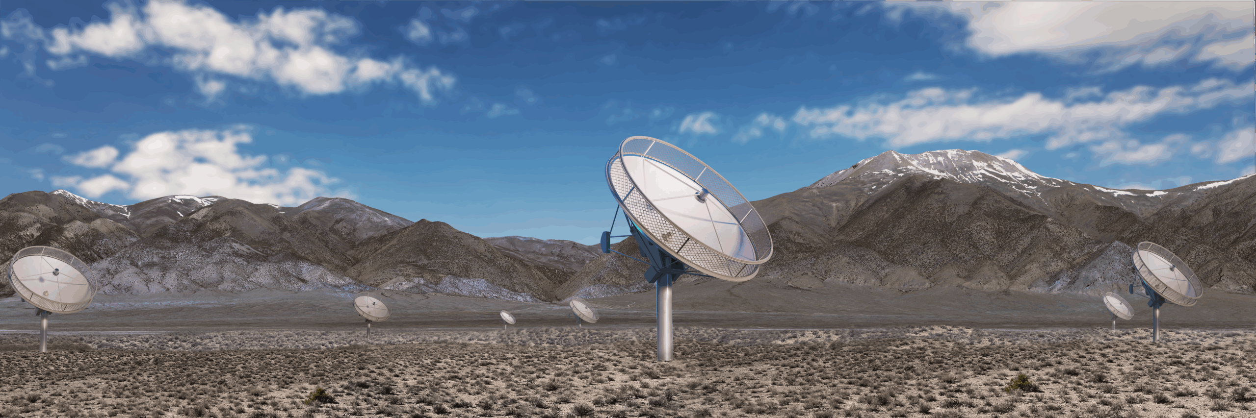 Deep Synoptic Array