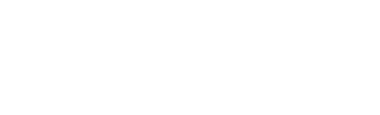 Schmidt Sciences